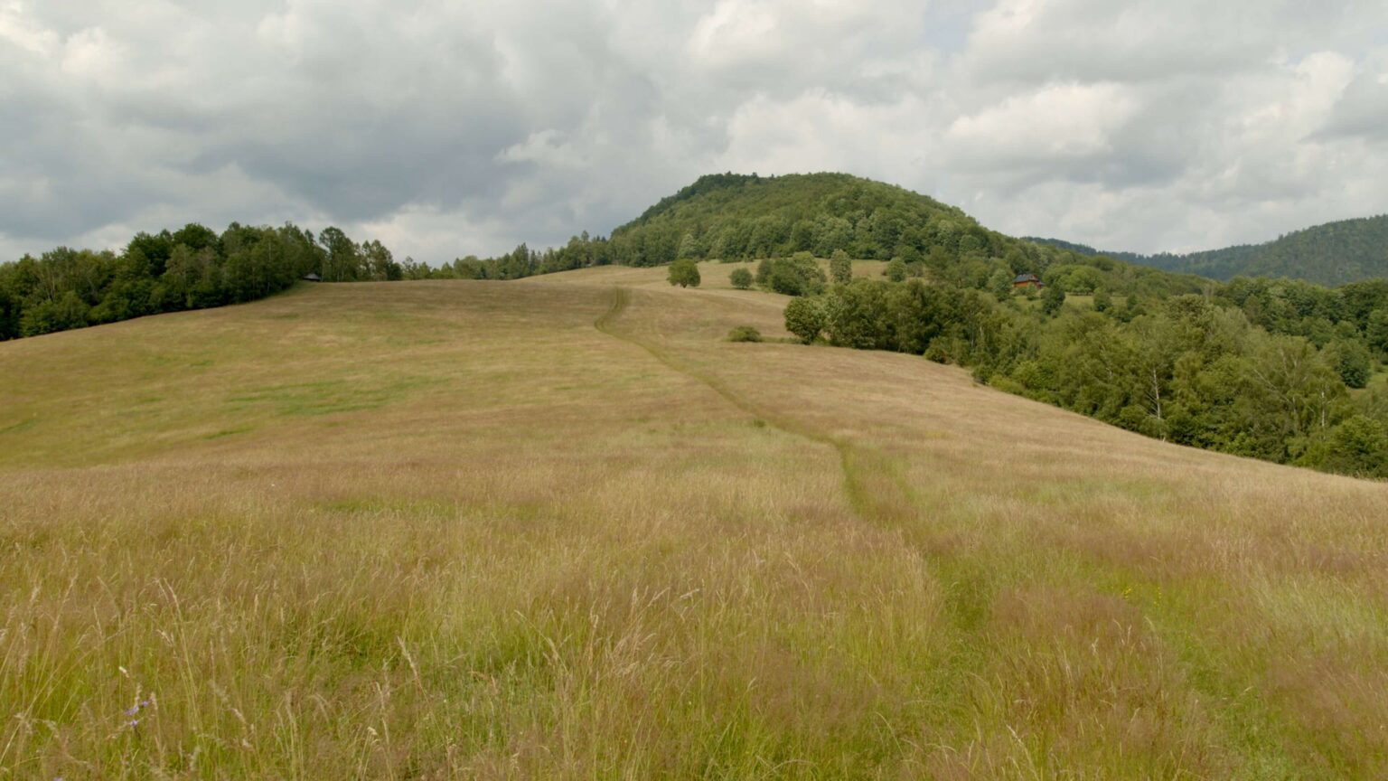 chodnik