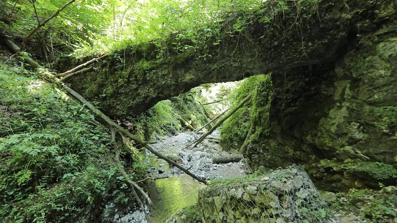 Lesmírny náučný chodník Zo sedla Zbojská po náučnom chodníku Jakuba Surovca - Skamenelý čas Muránskej planiny