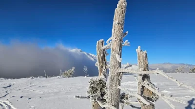 Zimné impresie Rovnej hole na snežniciach (resp. lyžiach), Nízke Tatry, Vyšná Boca
