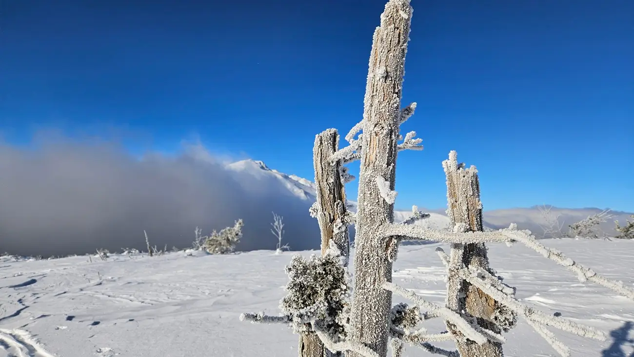 Zimné impresie Rovnej hole na snežniciach (resp. lyžiach)